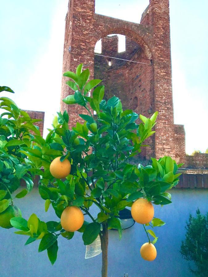 Appartement Ca' Del Sole - Attico Panoramico In Centro Storico à Montagnana  Extérieur photo