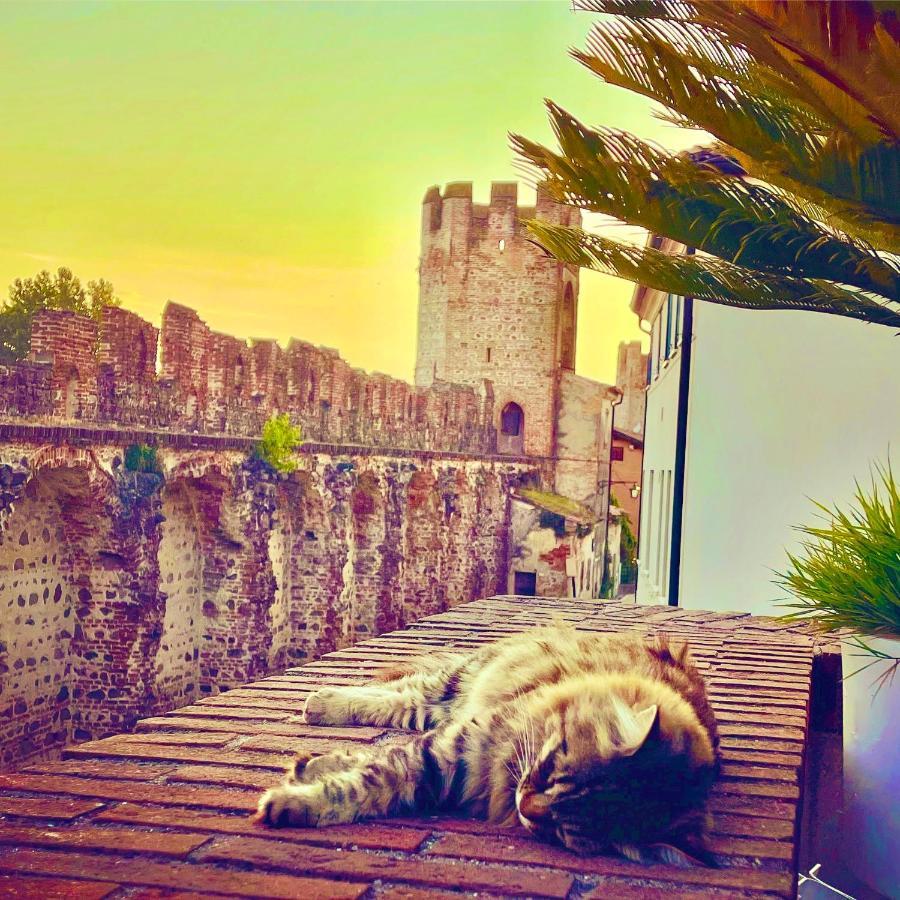 Appartement Ca' Del Sole - Attico Panoramico In Centro Storico à Montagnana  Extérieur photo