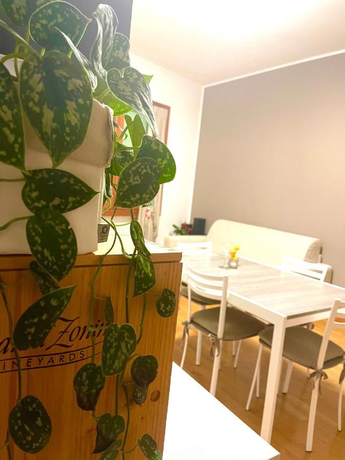 Appartement Ca' Del Sole - Attico Panoramico In Centro Storico à Montagnana  Extérieur photo